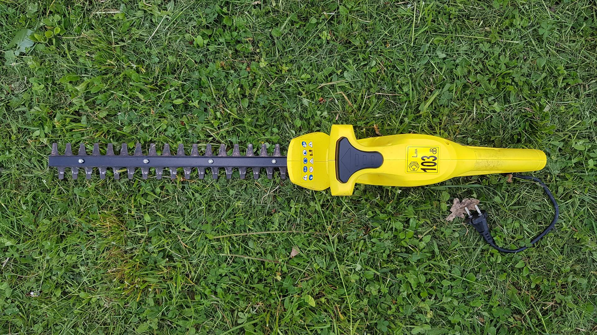 Petit taille haie électrique