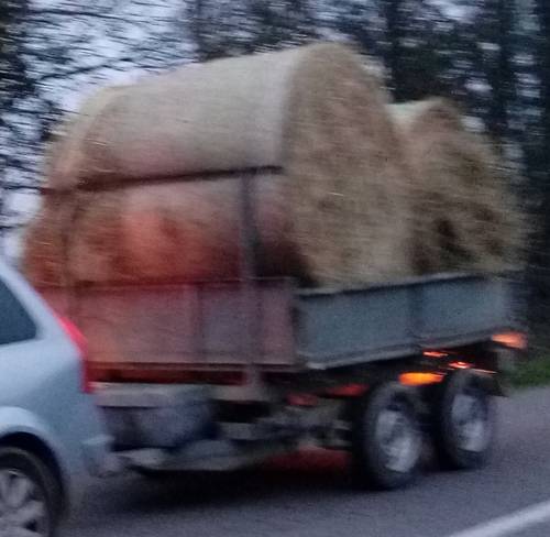 Loue remorque benne électrique 