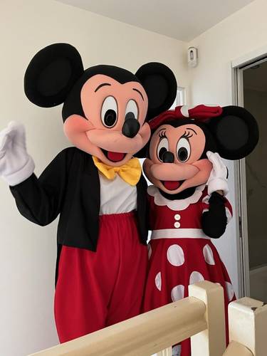 Location de mascottes Mickey et Minnie 