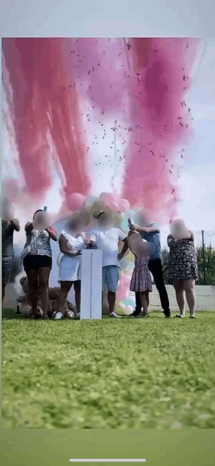 Gender reveal