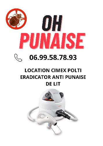 Anti puces Vapeur sèche location Cimex Eradication