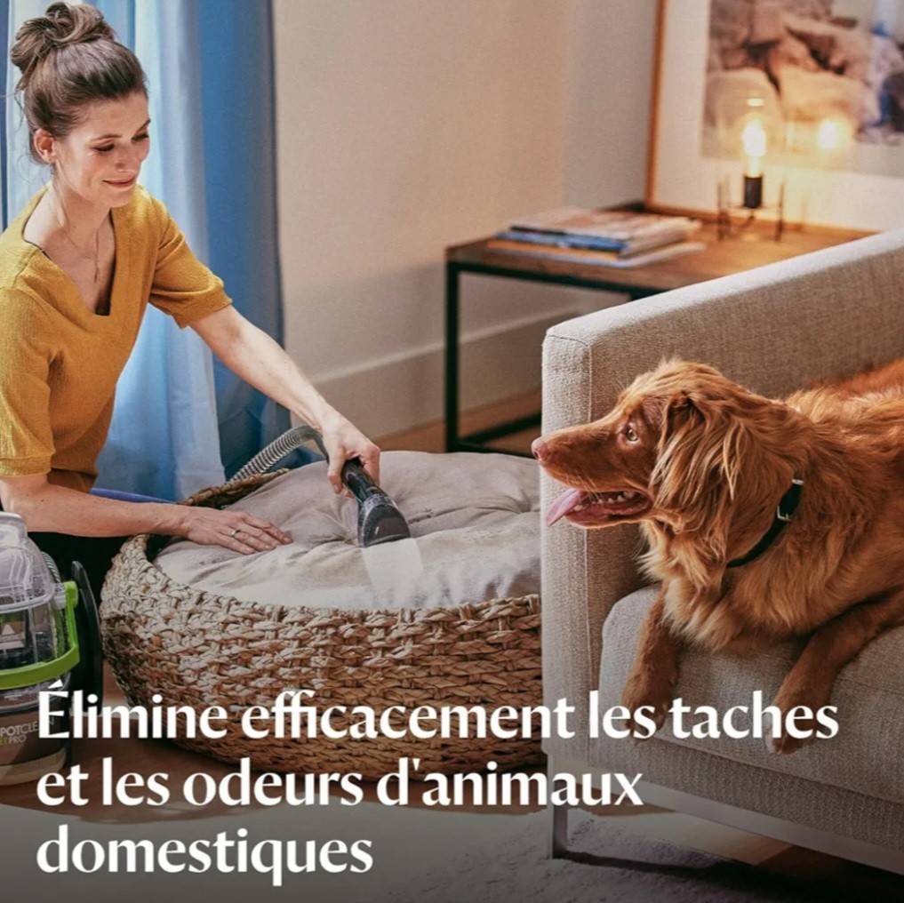 Location nettoyeur canapé shampouineuse Bissell spotclean pet pro 