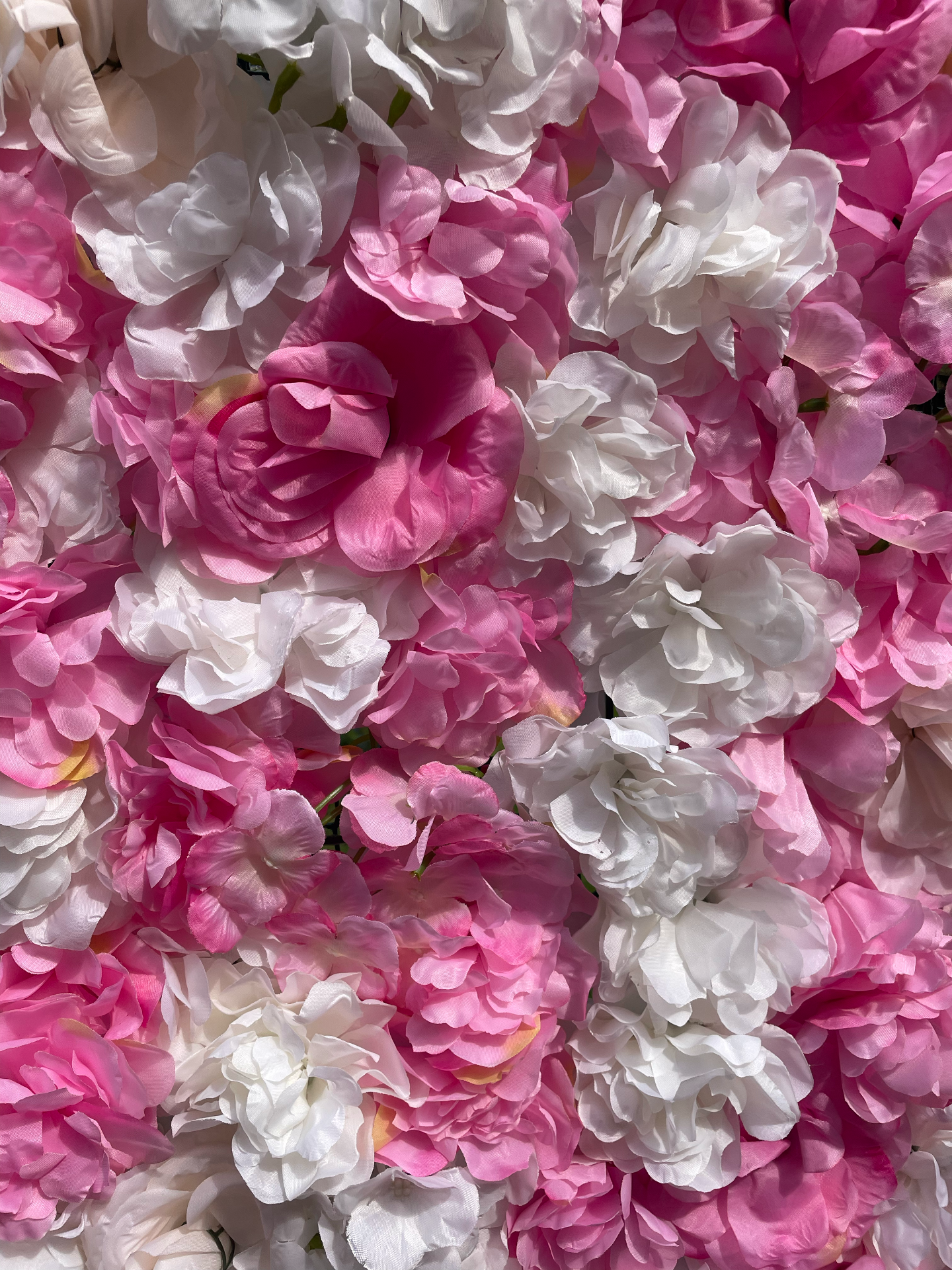 Location Mur de fleurs